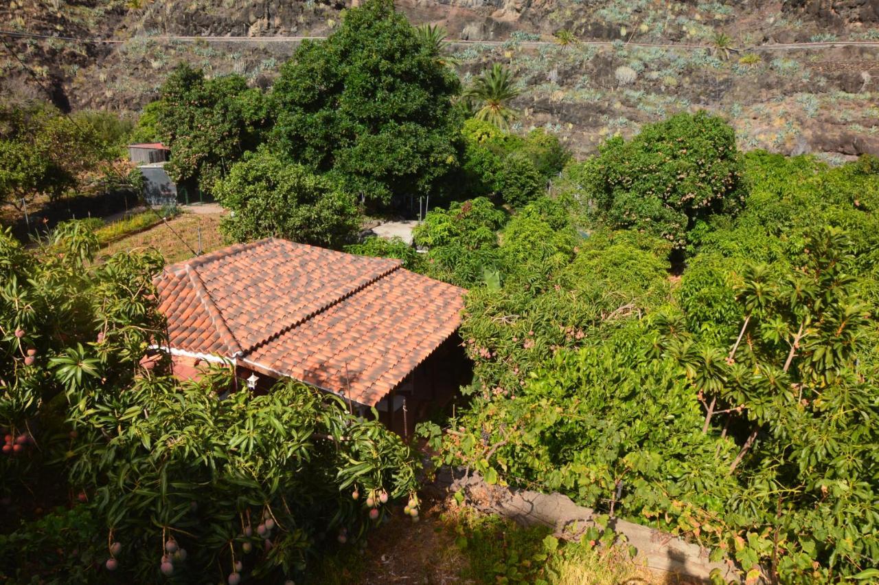 Holiday House Tia Lila Сан-Себастьян-де-ла-Гомера Екстер'єр фото