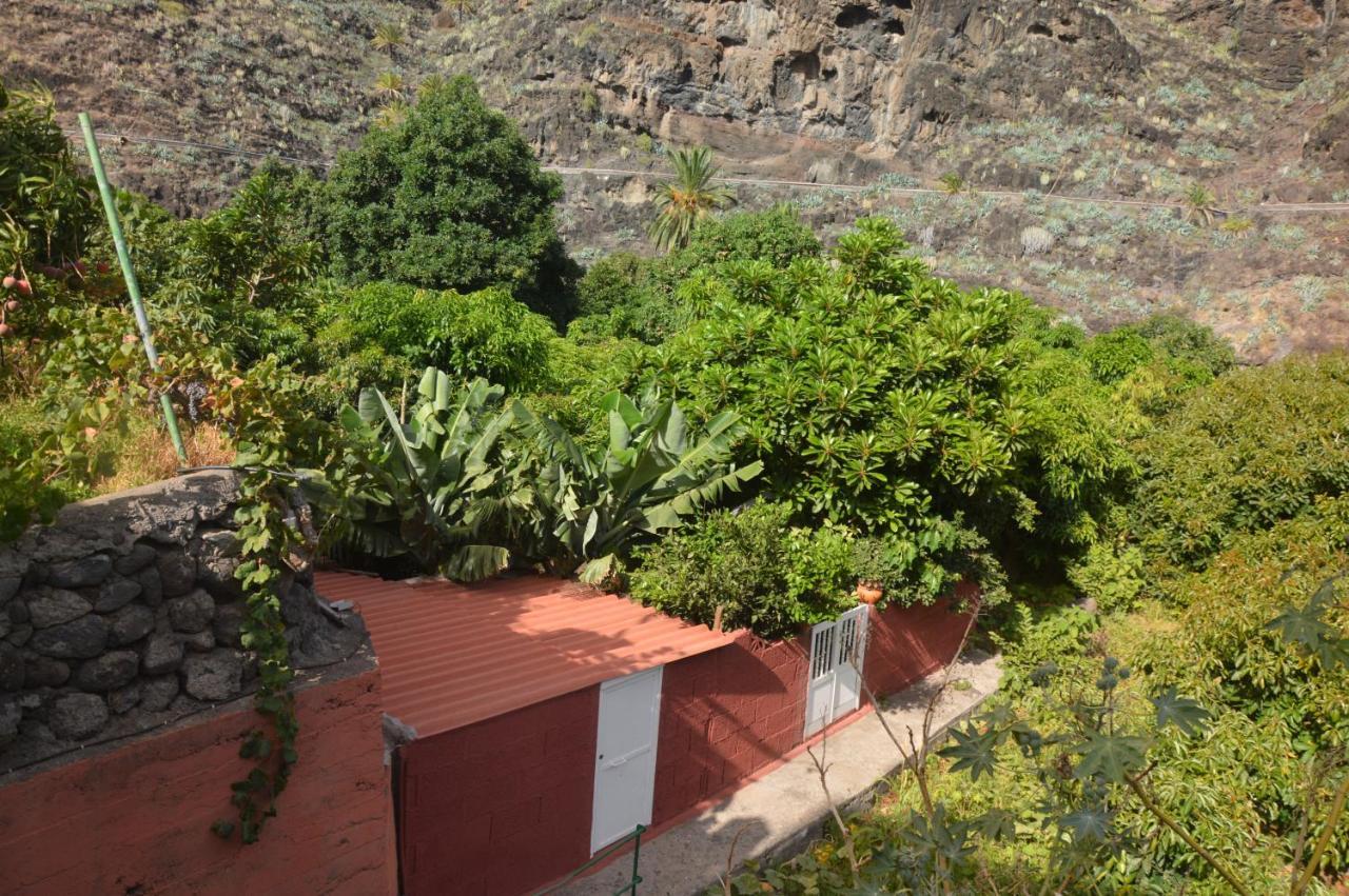 Holiday House Tia Lila Сан-Себастьян-де-ла-Гомера Екстер'єр фото