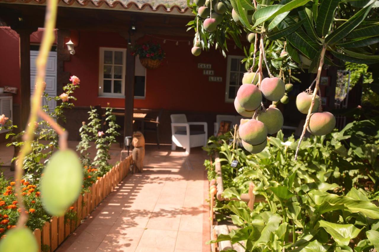 Holiday House Tia Lila Сан-Себастьян-де-ла-Гомера Екстер'єр фото