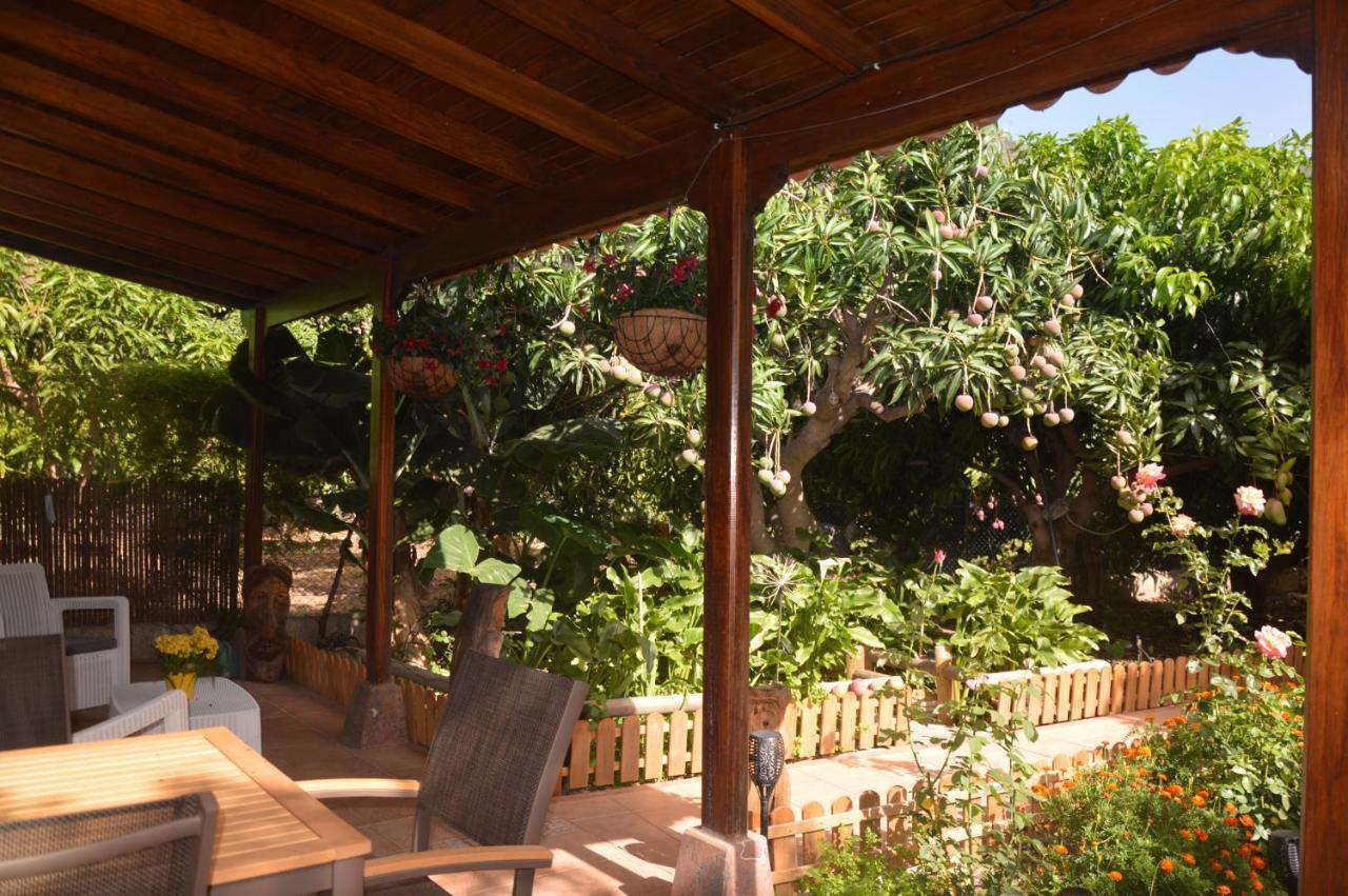 Holiday House Tia Lila Сан-Себастьян-де-ла-Гомера Екстер'єр фото
